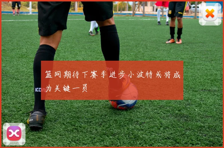 篮网期待下赛季进步小波特或将成为关键一员